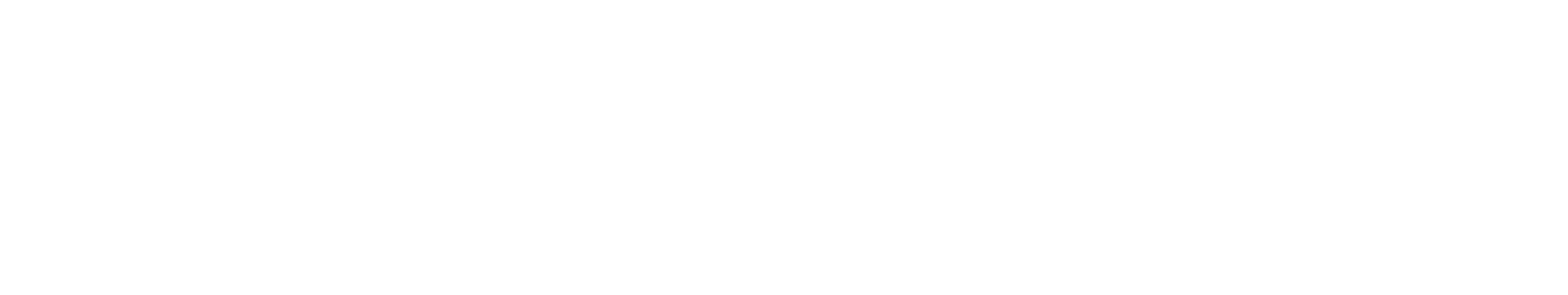 Silver.dev Silver.dev